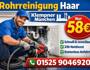rohrreinigung haar