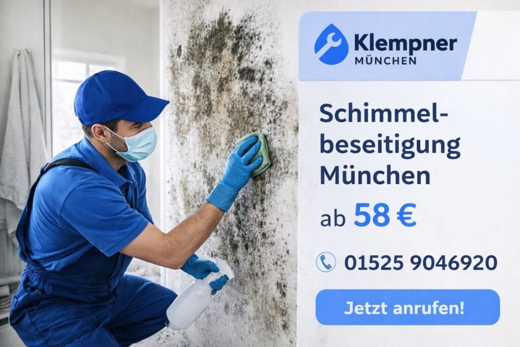 Schimmelbeseitigung in München durch professionellen Klempner – Entfernung von Schimmel an der Wand ab 58€ mit Kontaktnummer.