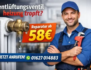 entlüftungsventil heizung tropft