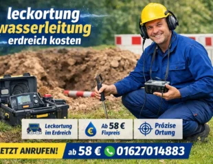leckortung wasserleitung erdreich kosten