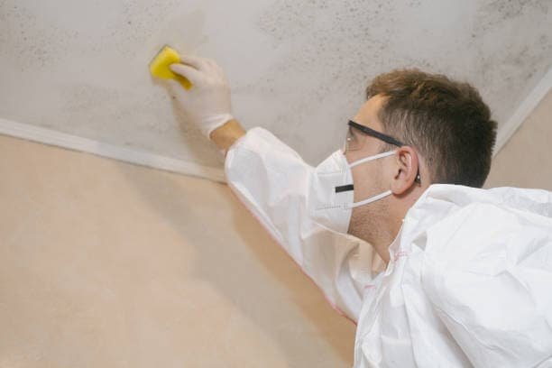 Der Fachmann arbeitet sorgfältig, um die betroffenen Bereiche gründlich zu reinigen.