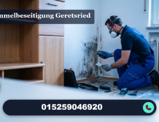 schimmelbeseitigung geretsried