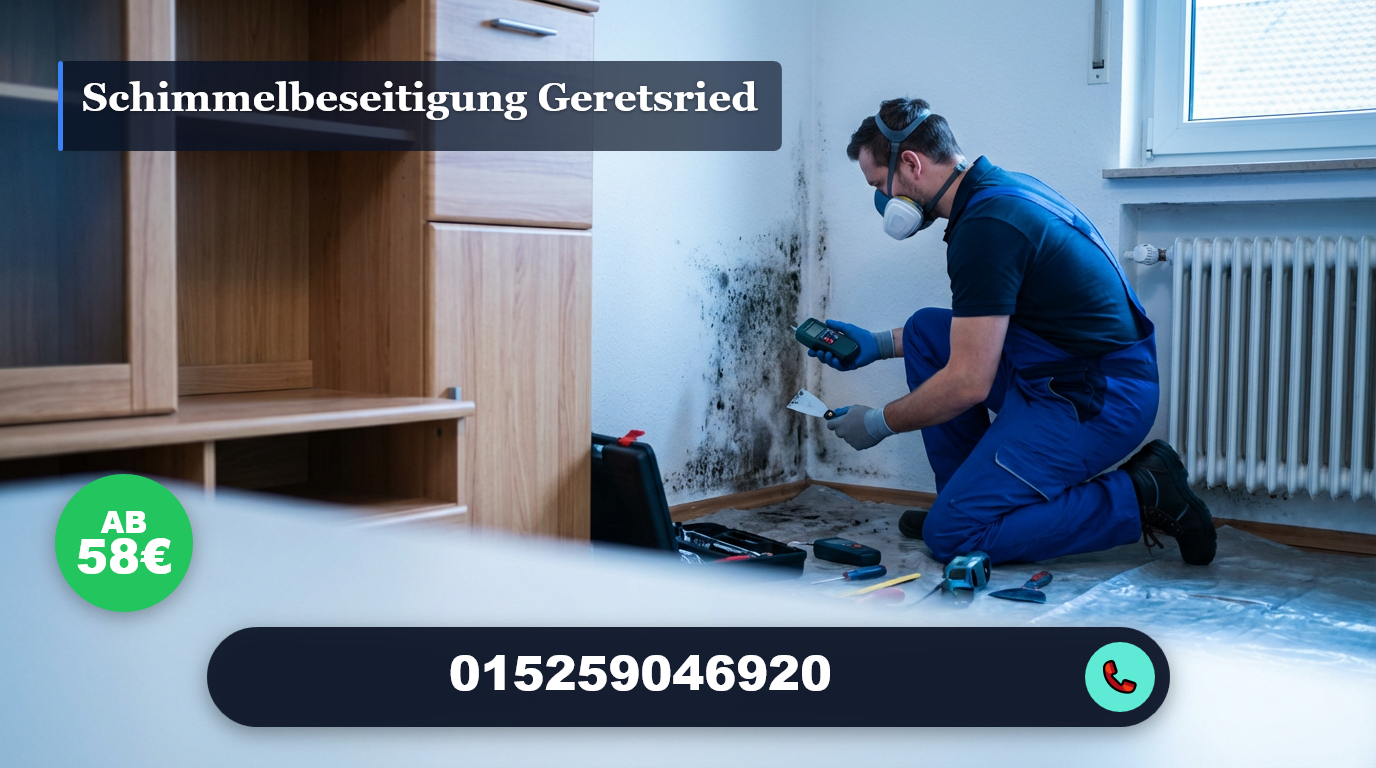 schimmelbeseitigung geretsried