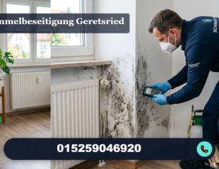 schimmelbeseitigung geretsried
