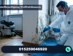 schimmelbeseitigung wolfratshausen