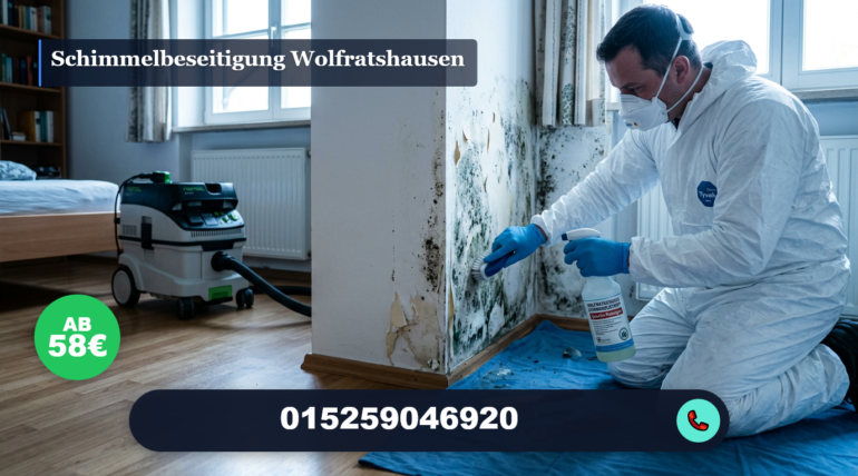 schimmelbeseitigung wolfratshausen
