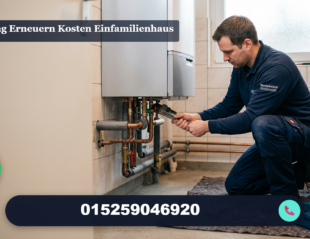 heizung erneuern kosten einfamilienhaus