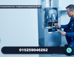 Heizungswartung kosten gas – Festpreis & transparent ab 58€