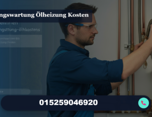 heizungswartung ölheizung kosten