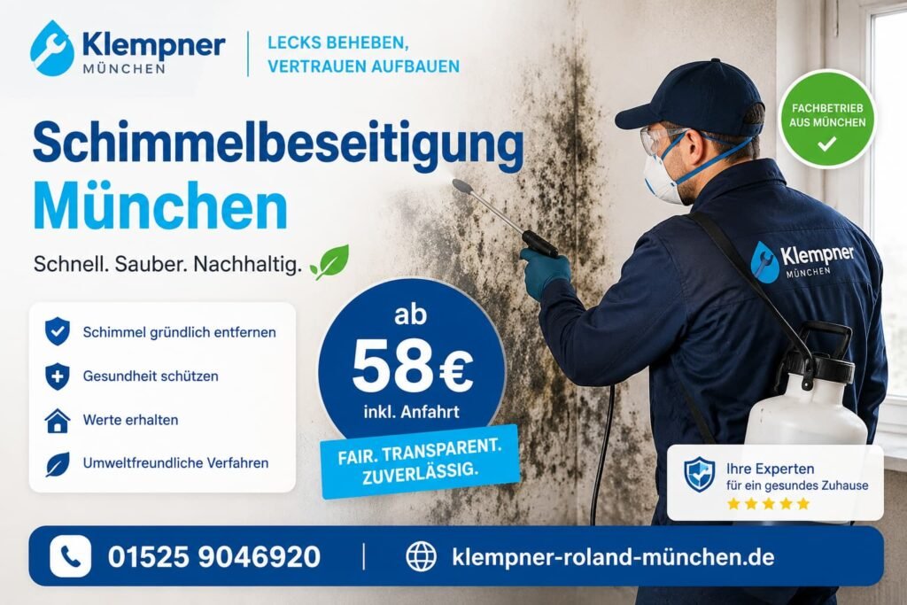 Fachbetrieb bei der Sanierung von Feuchtigkeits- und Wandschäden