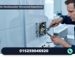 hansgrohe duscharmatur thermostat reparieren