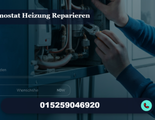 thermostat heizung reparieren